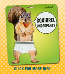 http://www.squirrelunderpants.com/images/package_on.jpg