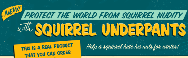 New! Protect the world from Squirrel Nudity with Squirrel Underpants! Help a squirrel hide his nuts for winter!
